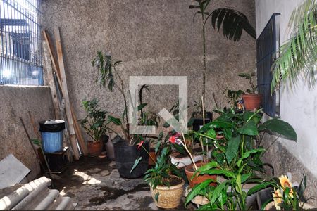 Casa à venda com 125m², 3 quartos e sem vagaDetalhe - Quintal