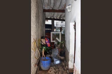 Casa à venda com 125m², 3 quartos e sem vagaDetalhe - Quintal