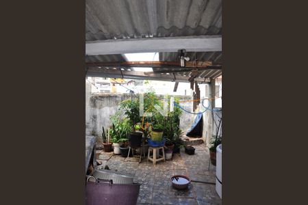 Casa à venda com 125m², 3 quartos e sem vagaDetalhe - Quintal