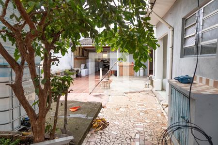 Casa à venda com 60m², 2 quartos e 2 vagas Casa à venda com 60m², 2 quartos e 2 vagasQuintal