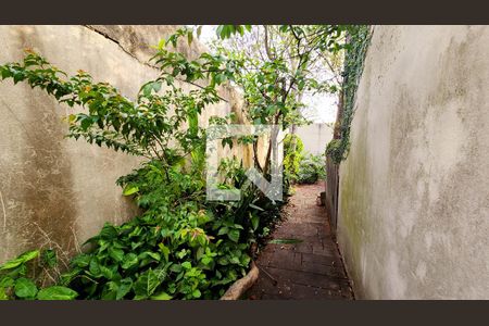 Casa à venda com 780m², 5 quartos e 3 vagas Casa à venda com 780m², 5 quartos e 3 vagasQuintal