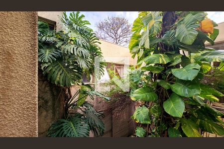 Casa à venda com 780m², 5 quartos e 3 vagas Casa à venda com 780m², 5 quartos e 3 vagasQuintal