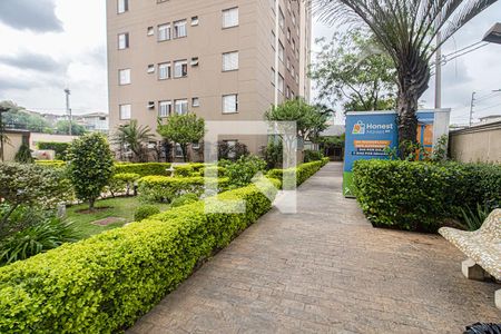Apartamento à venda com 50m², 2 quartos e 1 vagaárea de convivência e mercadinho_1