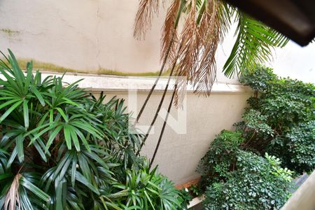 Apartamento à venda com 269m², 5 quartos e 2 vagasLavabo - Vista