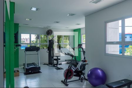 Apartamento para alugar com 53m², 2 quartos e 1 vaga Apartamento para alugar com 53m², 2 quartos e 1 vagaÁrea Comum