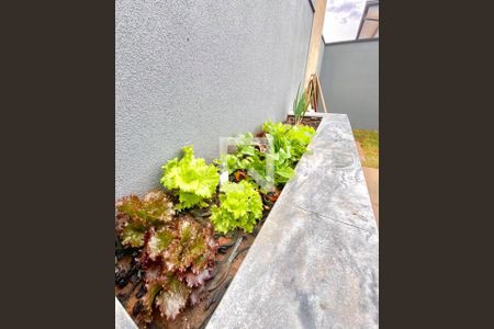 Casa de condomínio à venda com 210m², 3 quartos e 4 vagasFoto 41