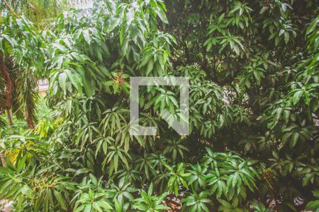 Apartamento para alugar com 98m², 2 quartos e 2 vagasVista