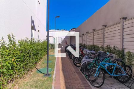 Apartamento para alugar com 32m², 1 quarto e sem vaga Apartamento para alugar com 32m², 1 quarto e sem vagaÁrea comum - Bicicletário