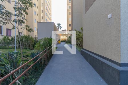 Apartamento para alugar com 41m², 2 quartos e sem vaga Apartamento para alugar com 41m², 2 quartos e sem vagaÁrea Comum