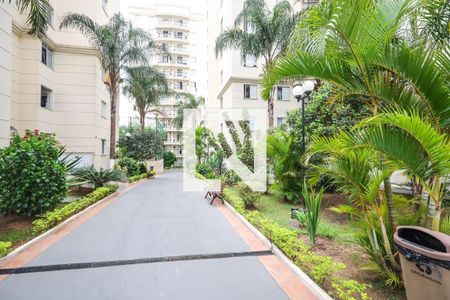 Apartamento à venda com 67m², 3 quartos e 1 vagaÁrea Verde 