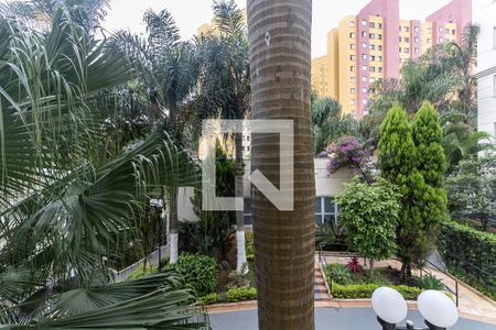 Apartamento à venda com 67m², 3 quartos e 1 vagaVista do Quarto 3