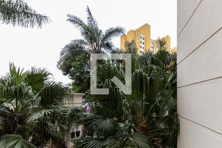 Apartamento à venda com 67m², 3 quartos e 1 vagaVista da Lavanderia