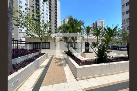 Apartamento para alugar com 49m², 2 quartos e 1 vagaÁrea comum - Salão de festas