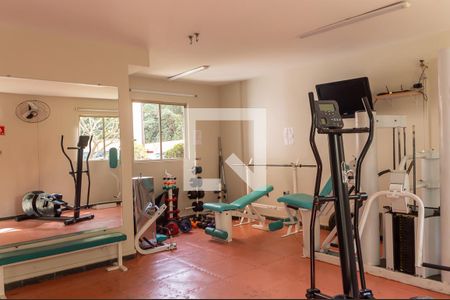 Apartamento à venda com 67m², 3 quartos e 1 vaga Apartamento à venda com 67m², 3 quartos e 1 vagaÁrea comum - Academia