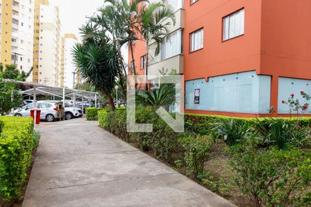 Área comum de apartamento para alugar com 3 quartos, 73m² em Piratininga, Osasco