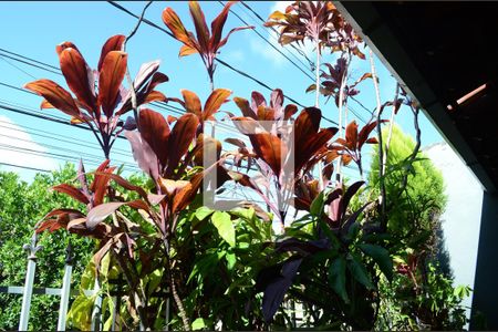 Casa para alugar com 110m², 4 quartos e 1 vagaÁrea Externa