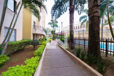 Apartamento à venda com 43m², 2 quartos e 1 vagaÁrea comum