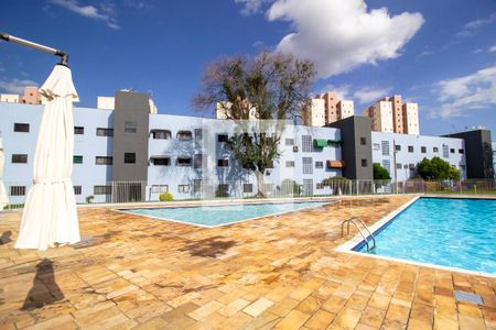 Área comum - Piscina de apartamento para alugar com 2 quartos, 70m² em Vila Odim Antao, Sorocaba