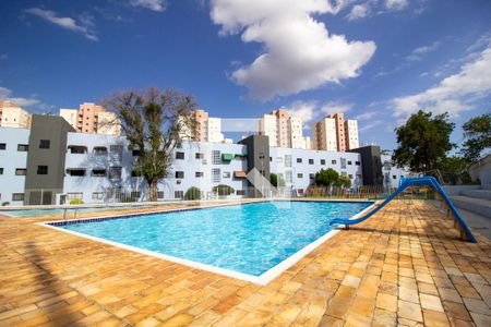 Área comum - Piscina de apartamento para alugar com 2 quartos, 70m² em Vila Odim Antao, Sorocaba