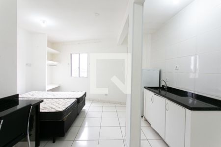 Studio de kitnet/studio para alugar com 1 quarto, 30m² em Belenzinho, São Paulo