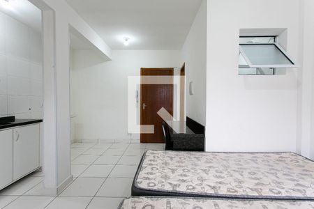 Studio de kitnet/studio para alugar com 1 quarto, 30m² em Belenzinho, São Paulo