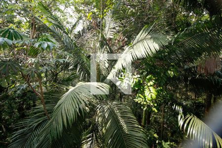 Apartamento para alugar com 45m², 2 quartos e 1 vagaVista do Quarto 2