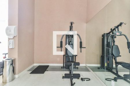 Apartamento para alugar com 25m², 1 quarto e 1 vagaÁrea comum - Academia