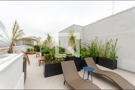 Apartamento para alugar com 38m², 2 quartos e 1 vaga Apartamento para alugar com 38m², 2 quartos e 1 vagaSolário