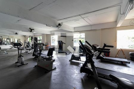 Apartamento para alugar com 56m², 2 quartos e 1 vagaÁrea comum - Academia