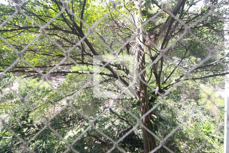 Apartamento à venda com 220m², 3 quartos e 1 vagaVista da Suíte