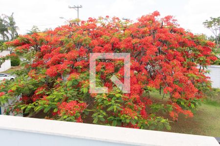 Casa de condomínio à venda com 520m², 4 quartos e 6 vagasVista da Suíte 4