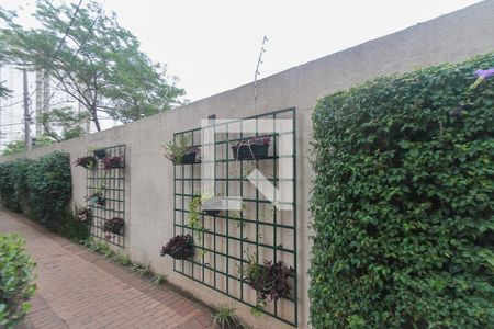 Apartamento para alugar com 63m², 3 quartos e 1 vaga Apartamento para alugar com 63m², 3 quartos e 1 vagaÁrea comum