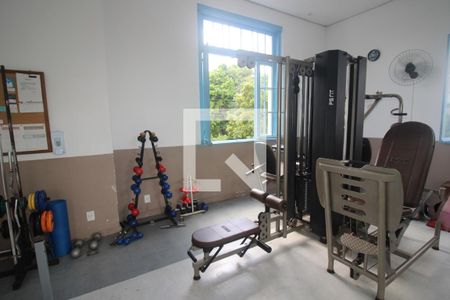 Apartamento à venda com 70m², 3 quartos e 1 vaga Apartamento à venda com 70m², 3 quartos e 1 vagaÁrea comum - Academia