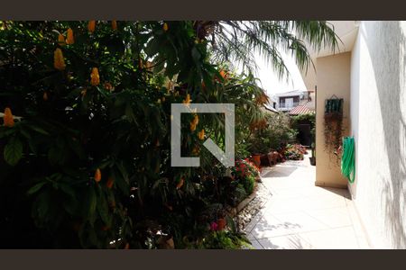 Casa para alugar com 400m², 4 quartos e 3 vagasJardim