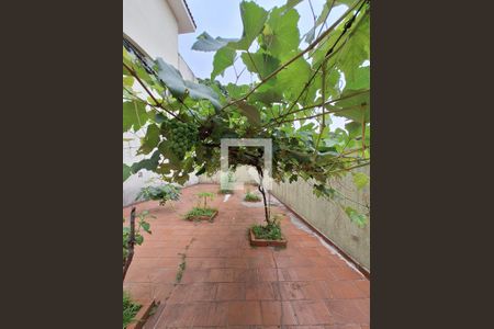 Casa à venda com 370m², 3 quartos e 6 vagasQuintal