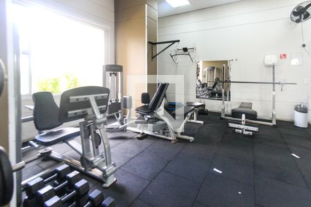 Apartamento à venda com 66m², 2 quartos e 1 vaga Apartamento à venda com 66m², 2 quartos e 1 vagaÁrea comum - Academia