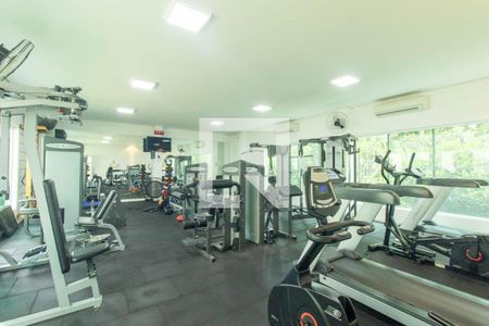Área comum - Academia de apartamento para alugar com 4 quartos, 178m² em Campina do Siqueira, Curitiba
