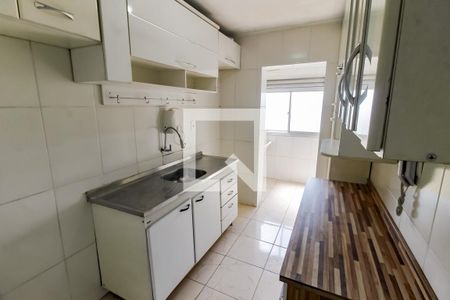 Apartamento para alugar com 60m², 2 quartos e 1 vagaCozinha - Armários