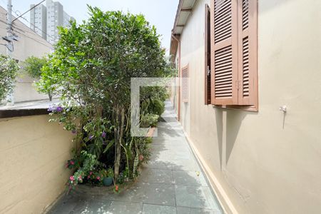 Casa à venda com 300m², 3 quartos e 4 vagas Casa à venda com 300m², 3 quartos e 4 vagasQuintal