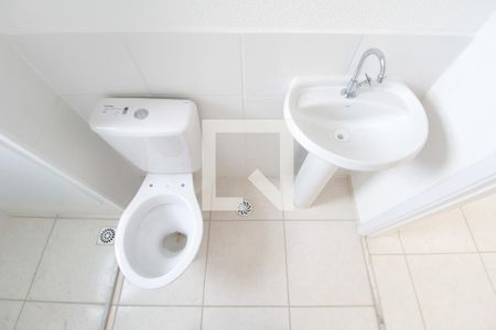 Banheiro Social de apartamento para alugar com 2 quartos, 43m² em Jardim dos Comerciários, Belo Horizonte