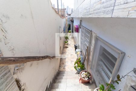 Casa para alugar com 510m², 6 quartos e 2 vagas Casa para alugar com 510m², 6 quartos e 2 vagasCorredor