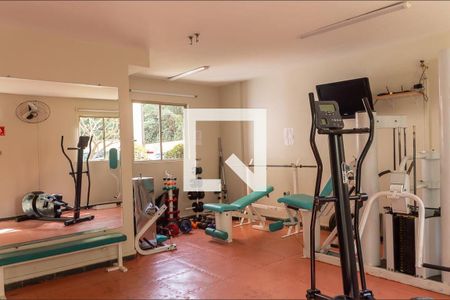 Apartamento para alugar com 65m², 3 quartos e 1 vaga Apartamento para alugar com 65m², 3 quartos e 1 vagaÁrea comum - Academia