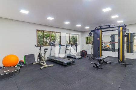 Apartamento à venda com 353m², 5 quartos e 5 vagasÁrea comum - Academia