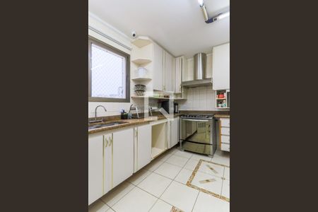 Apartamento à venda com 353m², 5 quartos e 5 vagasCozinha