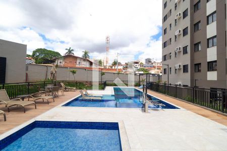 Área comum - Piscina de apartamento para alugar com 2 quartos, 55m² em Jardim Guarani, Campinas