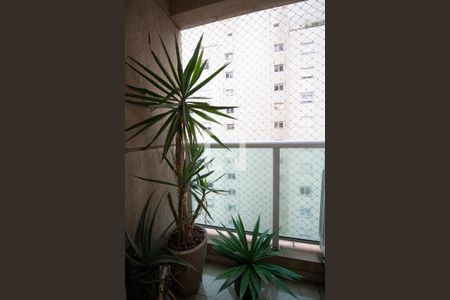 Apartamento à venda com 156m², 4 quartos e 3 vagas Apartamento à venda com 156m², 4 quartos e 3 vagasSuíte 3