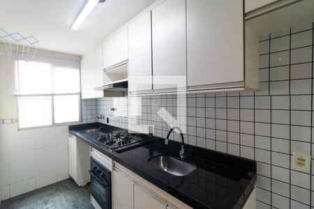 Cozinha de apartamento para alugar com 2 quartos, 58m² em Jardim Anton Von Zuben, Campinas