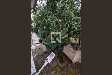 Apartamento para alugar com 50m², 2 quartos e 1 vaga Apartamento para alugar com 50m², 2 quartos e 1 vagaVista do Quarto 2