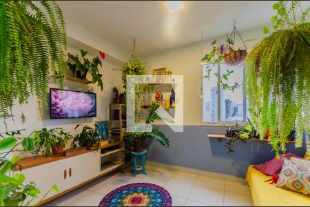 Apartamento para alugar com 1 quarto, 32m² em Cambuci, São Paulo