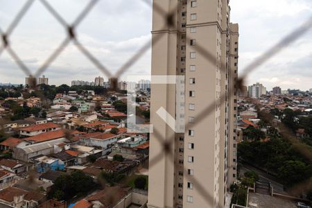 Apartamento para alugar com 114m², 3 quartos e 2 vagasVista do Quarto 1